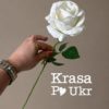 Оксамитова біла троянда гурт або роздріб