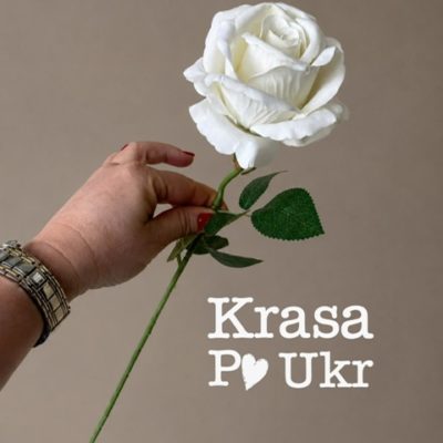 Оксамитова біла троянда гурт або роздріб