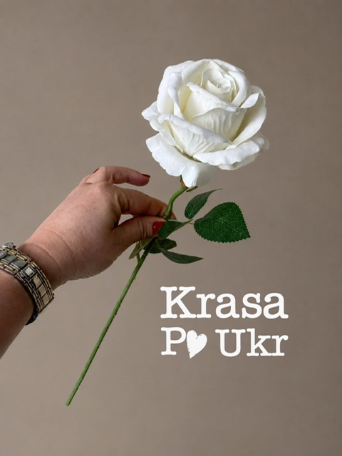 photo-output Оксамитова біла троянда гурт або роздріб