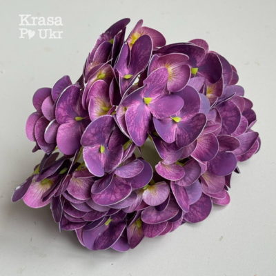 Латексна гортензія припиленого фіолетового кольору для флористичних композицій