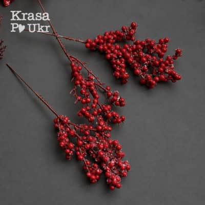 Home 1 Гілочка ягідок в цукрі - червона